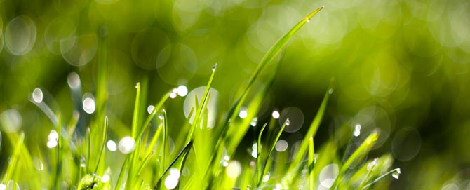 hiring a plumber in toronto this spring