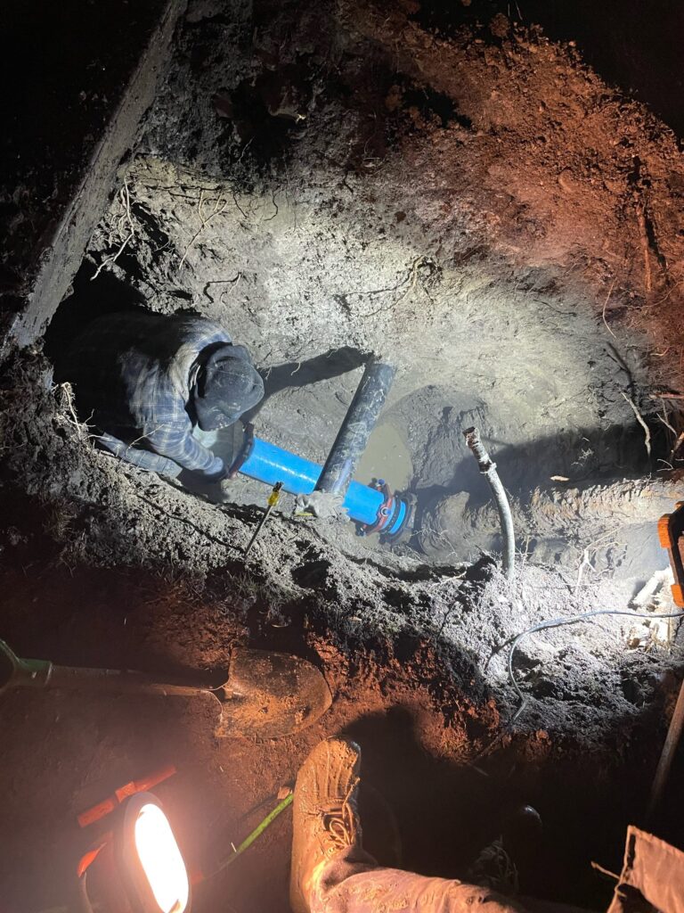 img 2443 original scaled 1